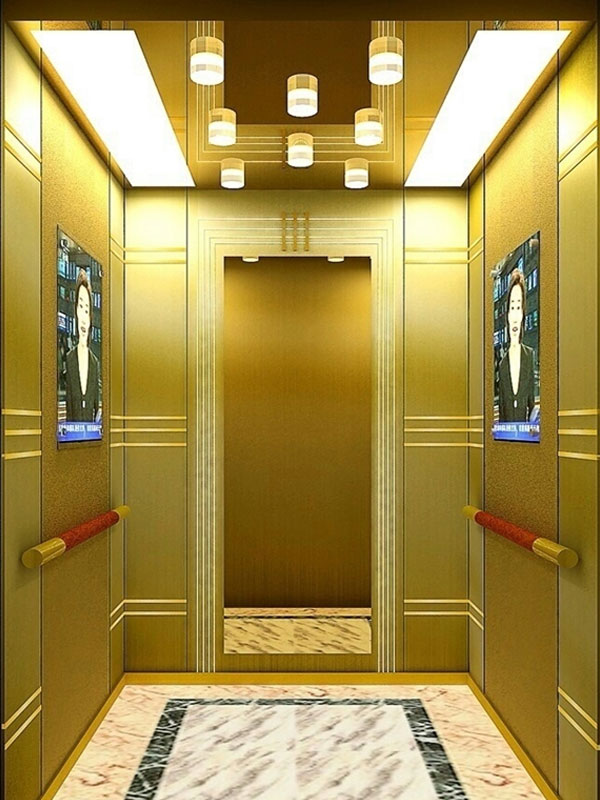 Mẫu Cabin Thang Máy Inox Sọc Nhuyễn Sen Inox Gương